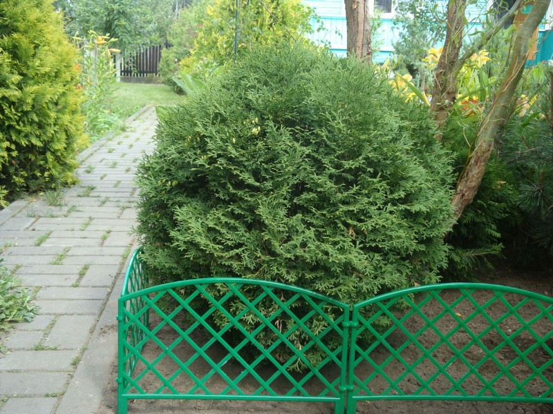 Заборчик декоративный №1 Romanika 2,95м высота 33см (7 эл.) зеленый (ID .