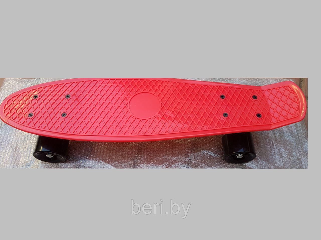 Скейтборд, пенниборд, пенниборд для начинающих Penny Board 56,5 см, арт 350-1 - фото 5 - id-p62169549