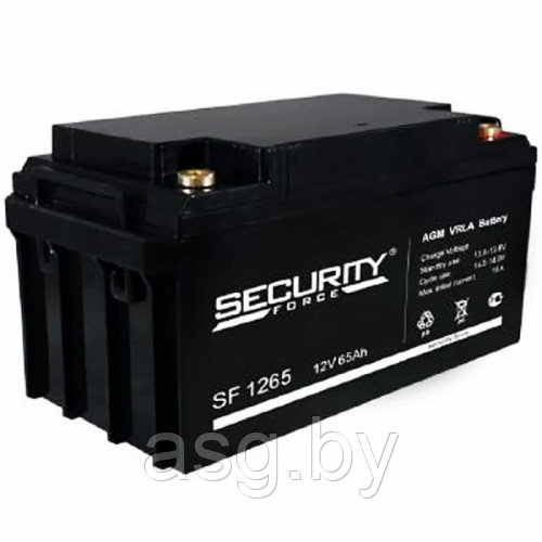 Аккумулятор Security Force SF 1265 - 12В, 65 А/ч свинцово-кислотный - фото 1 - id-p63449133