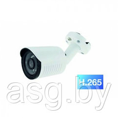 IP КАМЕРА 4 МР LS-IP400P/60H265 (С POE)