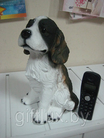 Собака Спаниель Сувенир-копилка, гипс, 20*28 см, фото 2