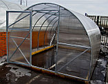Теплица под поликарбонат Урожай Абсолют 6м + поликарбонат 4мм, фото 2