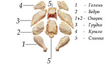 Мясо птицы и разделка