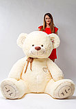 Мягкая игрушка ILY 230 см кремовый большой медведь, плюшевый мишка, фото 2