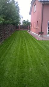 Посев газона EUROGRASS (Классический) 2