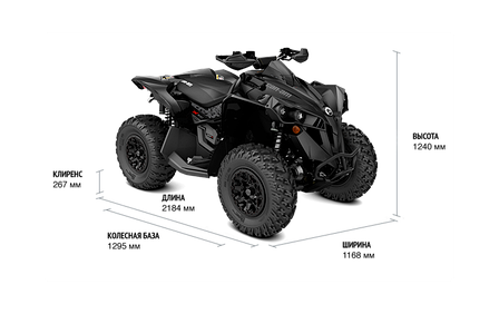 Квадроцикл Renegade 1000R XXC, фото 2