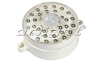 Светильник сенсорный PIR32 (2W, 32 LED)