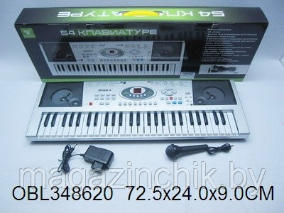 Детский синтезатор пианино с микрофоном SD 5492, 54 клавиши купить в Минске - фото 2 - id-p2745460