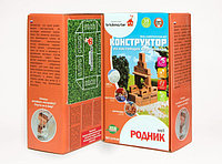 Конструктор из кирпичиков Brickmaster "Родник" 2в1 (35 деталей) 603