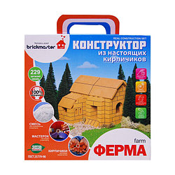 Конструктор из кирпичиков Brickmaster "Ферма" 229 деталей (209)