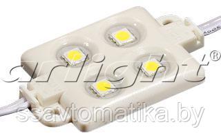 Модуль герметичный LM5050-4W White 12V - фото 1 - id-p64985673