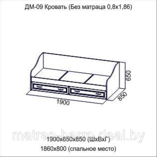 Кровать Вега ДМ-09 с ящиками (спальное место 80х186 см) - фото 2 - id-p65047914