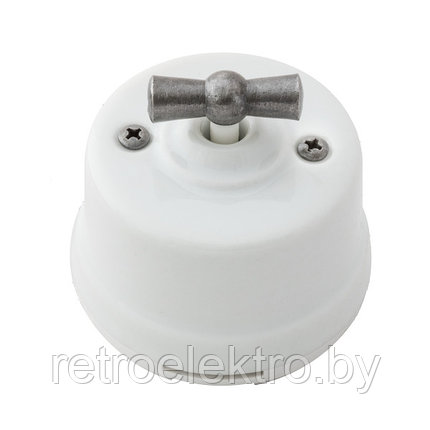 Выключатель 1-кл. проходной Salvador,Белый/серебро, фото 2