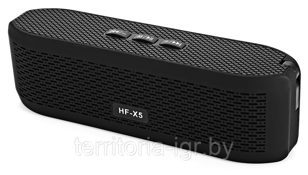 Портативная Bluetooth колонка HF-X5 черная - фото 1 - id-p65155239