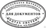 Овальная печать (штамп)  "ДЛЯ ДОКУМЕНТОВ" + клише 45х30 мм, фото 2