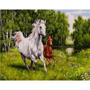 Картина по номерам Дикие скакуны на поляне 40х50 см, фото 2