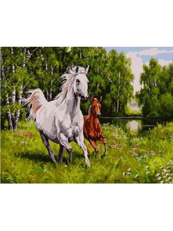Картина по номерам Дикие скакуны на поляне 40х50 см, фото 2