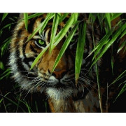 Картина по номерам Леденящий взгляд 40х50 см