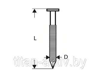 Гвозди для GSN 90-21 RK SN21RK 75RHG (3000шт) (BOSCH)