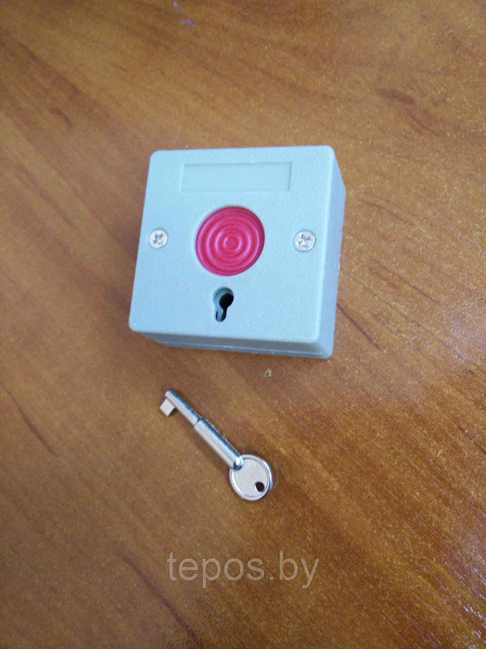 PB-1 - Кнопка с фиксацией и ключом - фото 2 - id-p65269207