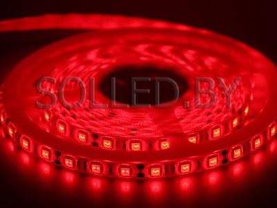 Светодиодная лента SMD 5050 60LED 14,4W 12V IP65 красный