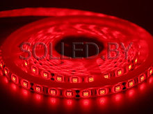 Светодиодная лента SMD 5050 60LED 14,4W 12V IP65 красный