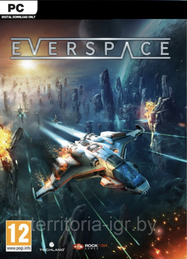 EVERSPACE (копия лицензии) PC - фото 1 - id-p65433792