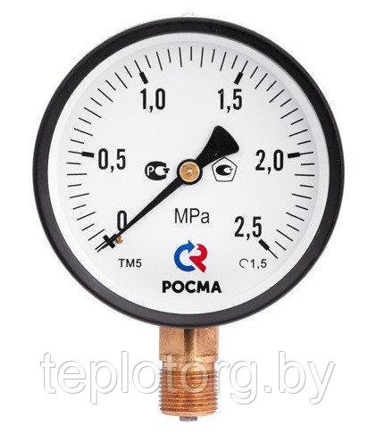 Манометр Росма ТМ-110 серия 10 0 2,5 МПа М10×1 или G радиальный или осевой штуцер от 8,08 руб - фото 1 - id-p65459009