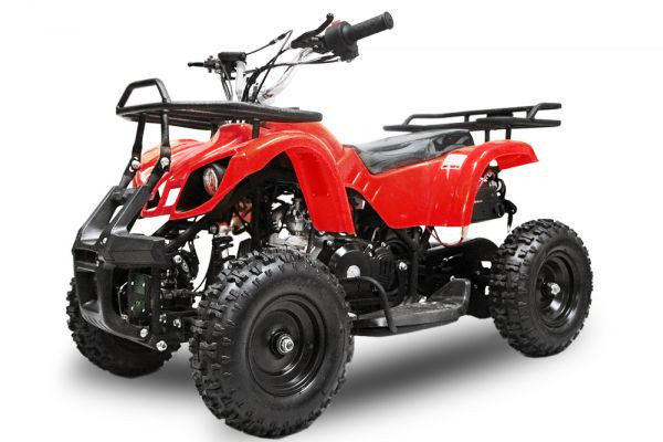 Детский квадроцикл Nitro Motors Torino 2T 50cc - фото 1 - id-p65484685