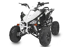 Квадроцикл Nitro Motors SPEEDY RS 7" Automatik + RG