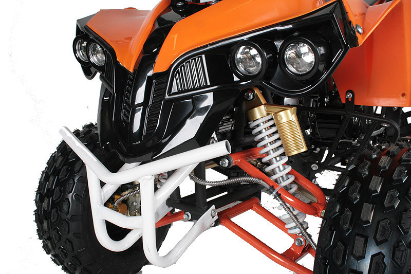 Квадроцикл Warrior RG 8" Automatic + RG Drum Brake - фото 5 - id-p65529763
