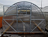 Теплица под поликарбонат Урожай Абсолют 4м + поликарбонат кристалл 4мм, фото 3