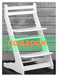 Стульчик для кормления Вырастайка-2 окрашенный. Детский стул с регулировкой высоты., фото 2