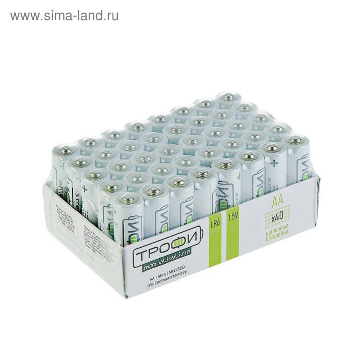 Элемент питания Трофи LR6-40 bulk ECO