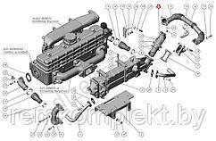 245Е4-1307301 патрубок охладителя отводящий (Евро-4) (рециркуляции отработавших газов)