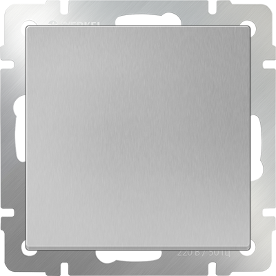 W1110006 / Выключатель одноклавишный (серебряный)