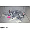 Мягкая игрушка Кот Бекон КТ01S FANCY 70 см, фото 2