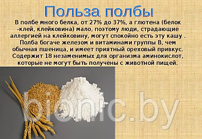 Макаронные изделия " Ракушки  из полбы " Компас здоровья ,350 гр, фото 2