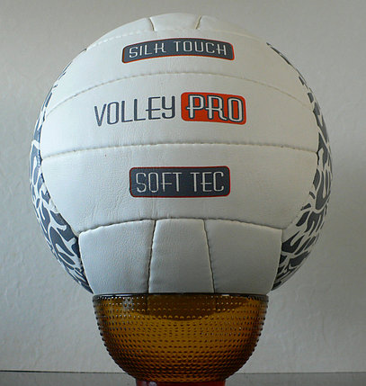 Волейбольные мячи EXCALIBUR Мяч волейбольный VOLLEY PRO 5, фото 2