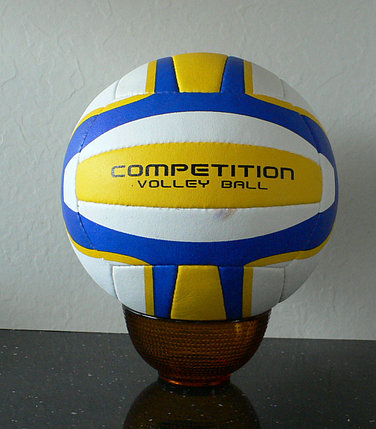 Волейбольные мячи EXCALIBUR Мяч волейбольный Competition, фото 2