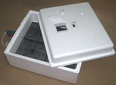 Инкубатор для яиц, квокча, инкубатор - фото 3 - id-p65888999