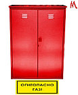 Шкаф для 2-х газовых баллонов, красный + наклейка, фото 3