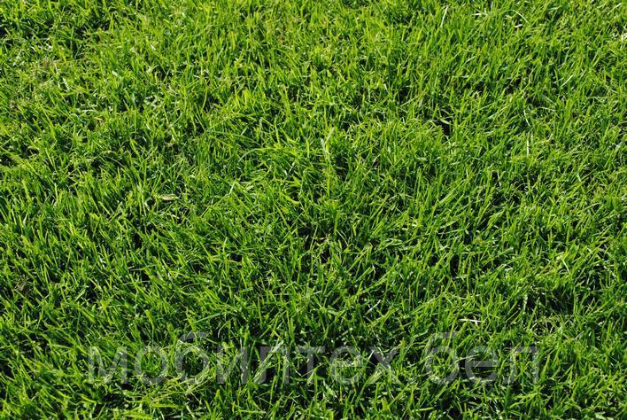 Универсальная газонная трава, 10кг - фото 2 - id-p66008754