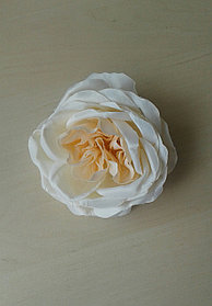 Головка розы кремовая пионовидная, d 13-14см.