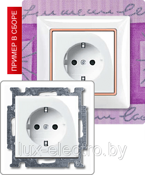 ABB Basic 55 Розетка с заземляющим контактом Белый - фото 1 - id-p16064397