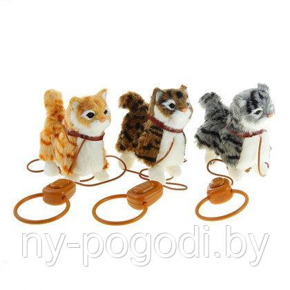 Какую Игрушку Купить Кошке