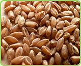 Пшеница фуражная в мешках, 25 кг, фото 2