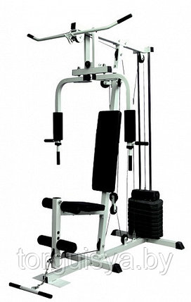 Силовая станция American Fitness HG-7000, фото 2