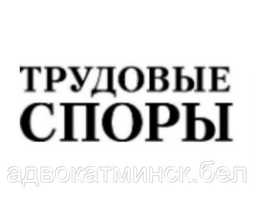 АДВОКАТ Демидовец Е.М.по трудовым спорам.ОТЗЫВЫ в интернете, опыт работы более 23 лет. - фото 2 - id-p23783101