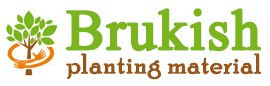 brukish.by